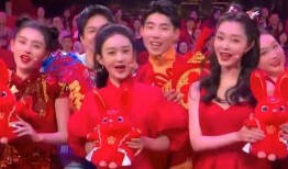 春晚彩排爆料视频大全下载,视频大全背后的精彩瞬间