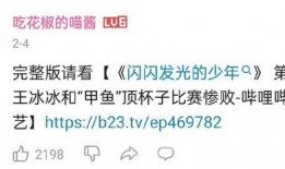 王冰冰爆料者视频大全最新,揭秘背后惊人真相