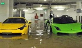 林志颖跑车爆料了吗视频,揭秘明星座驾背后的故事